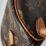 Louis Vuitton Speedy Nano Monogram — фото 13