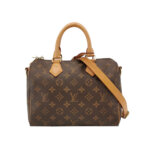 Louis Vuitton Speedy 25 Monogram — миниатюра 1
