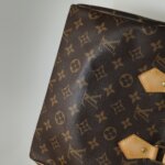 Louis Vuitton Speedy 25 Monogram — фото 21