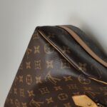 Louis Vuitton Speedy 25 Monogram — фото 22