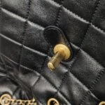 Chanel 19 Bag C (Шанель) — фото 15