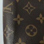 Louis Vuitton Pochette Félicie Monogram — фото 15