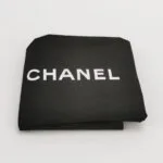 Chanel Leboy C — фото 10