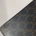 Celine Triomphe Canvas — фото 16