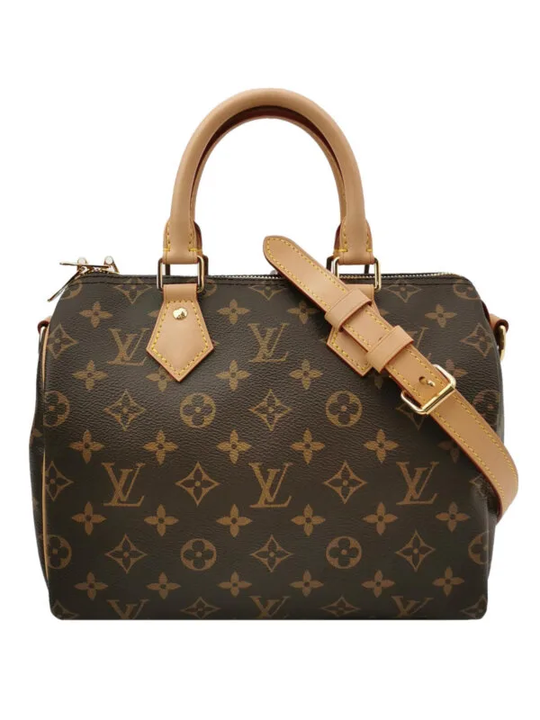 Louis Vuitton Speedy 25 Monogram — продано