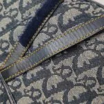 Dior Saddle Oblique (Диор) — фото 11