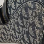 Dior Saddle Oblique (Диор) — фото 22