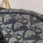 Dior Saddle Oblique (Диор) — фото 24