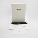 Celine Box Triomphe Logo — фото 8