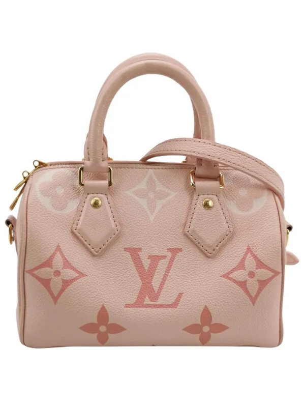 Louis Vuitton Speedy 20