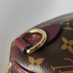 Louis Vuitton Speedy 30 Monogram — фото 13