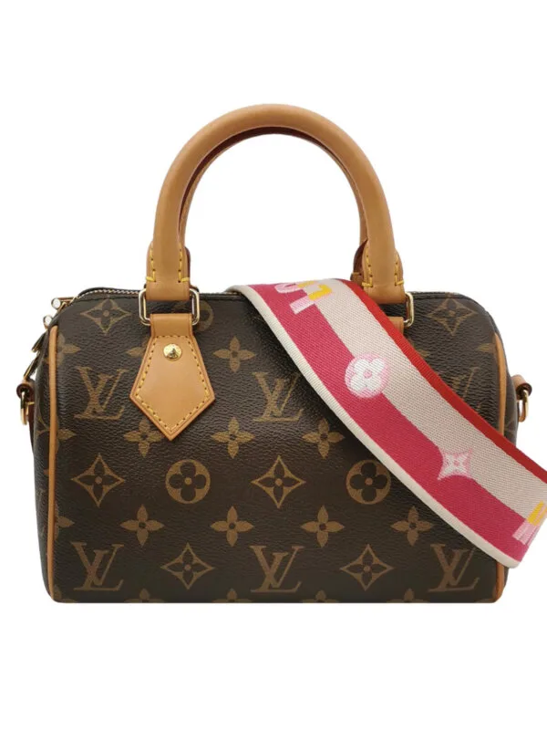 Louis Vuitton Speedy 20 Monogram