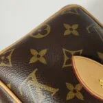 Louis Vuitton Speedy 20 Monogram — фото 24