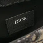Dior Saddle Oblique (Диор) — фото 8