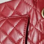 Chanel 2.55 Flag Bag — фото 18