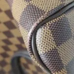 Louis Vuitton Speedy 25 — фото 19