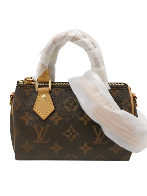 Louis Vuitton Speedy Nano Monogram