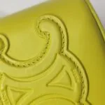 Celine Box Triomphe Logo — фото 19