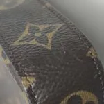 Louis Vuitton Pochette Félicie Monogram — фото 15