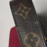 Louis Vuitton Pochette Félicie Monogram — фото 18