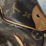 Louis Vuitton Speedy 25 Monogram — фото 14