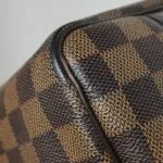 Louis Vuitton Speedy 25 — фото 21