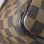 Louis Vuitton Speedy 25 — фото 23