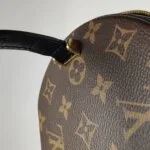 Louis Vuitton Cannes Reverse — фото 18
