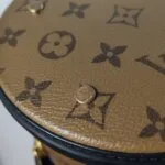 Louis Vuitton Cannes Reverse — фото 18