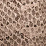 Bottega Veneta Intrecciato — фото 15