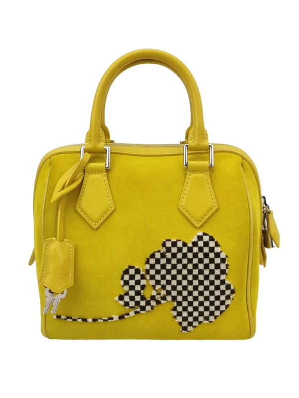 Louis Vuitton Speedy 20