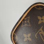 Louis Vuitton Speedy Nano Monogram — фото 19