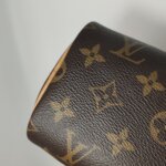 Louis Vuitton Speedy Nano Monogram — фото 24