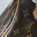 Louis Vuitton Speedy Nano Monogram — фото 18