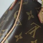 Louis Vuitton Speedy Nano Monogram (Луи Виттон) — фото 18