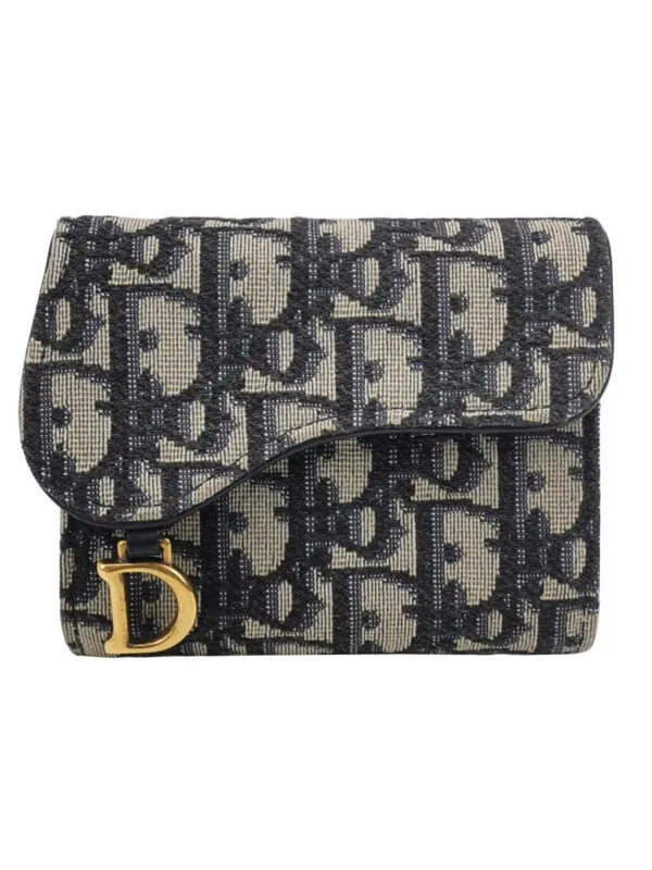 Dior Saddle