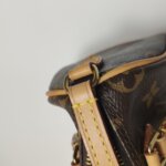 Louis Vuitton Speedy Nano Monogram — фото 19