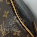 Louis Vuitton Speedy Nano Monogram — фото 23