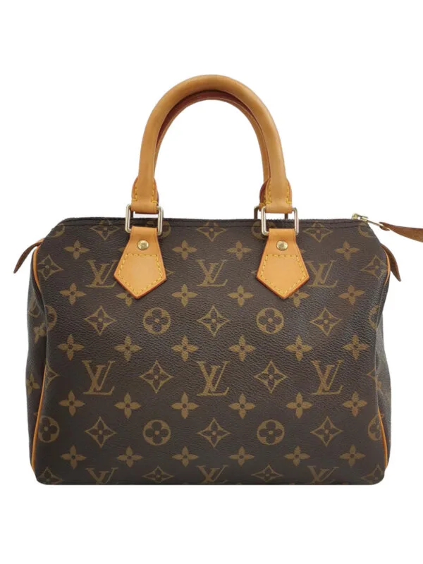 Louis Vuitton Speedy 25 Monogram — продано