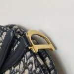 Dior Saddle Oblique (Диор) — фото 14