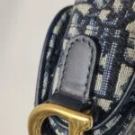 Dior Saddle Oblique (Диор) — фото 22