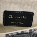 Dior Saddle Oblique (Диор) — фото 8