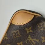 Louis Vuitton Boulogne Nano Monogram (Луи Виттон) — фото 18