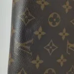 Louis Vuitton Dauphine Monogram LV — фото 19