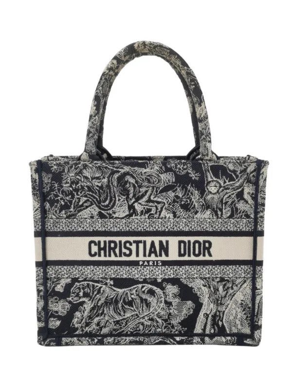Dior Book Tote