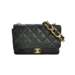 Chanel Flap Bag C — миниатюра 1