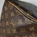 Louis Vuitton Speedy 25 Monogram — фото 15