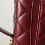 Chanel Vanity Case C — фото 18