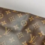 Louis Vuitton Speedy 25 Monogram — фото 21