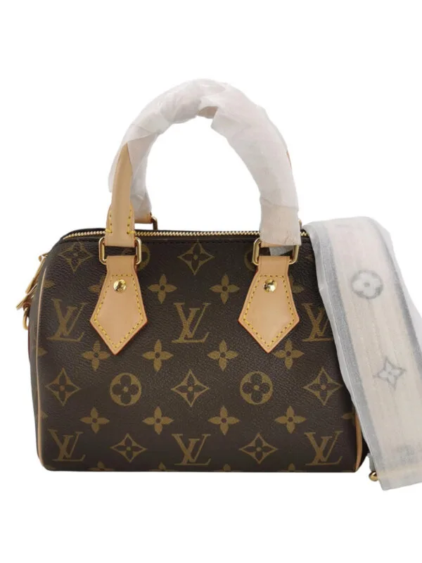 Louis Vuitton Speedy 20 Monogram
